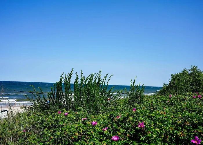 Appartementanlage Seeblick, App 121 * 코세로우